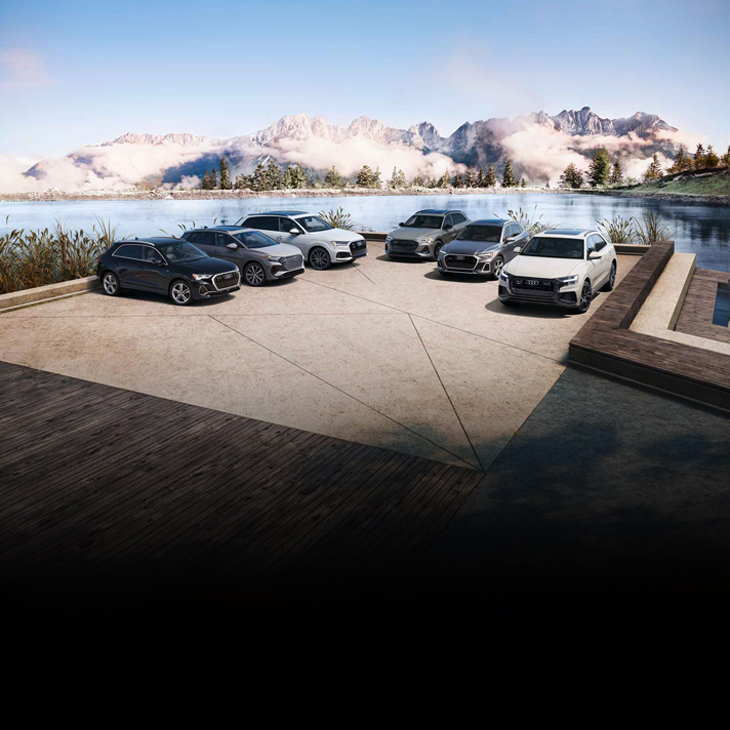 A fleet of Audi vehicles parked in front of a snow-capped mountain range. 