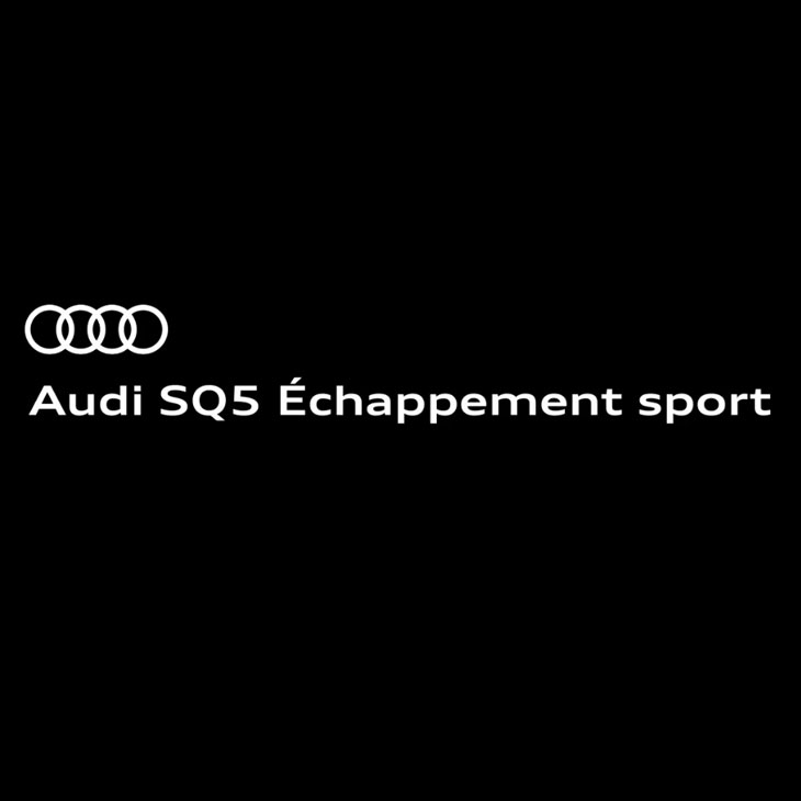 Vidéo et son du moteur de l’Audi SQ5 muni d’un échappement sport au démarrage, à l’accélération et à la décélération.