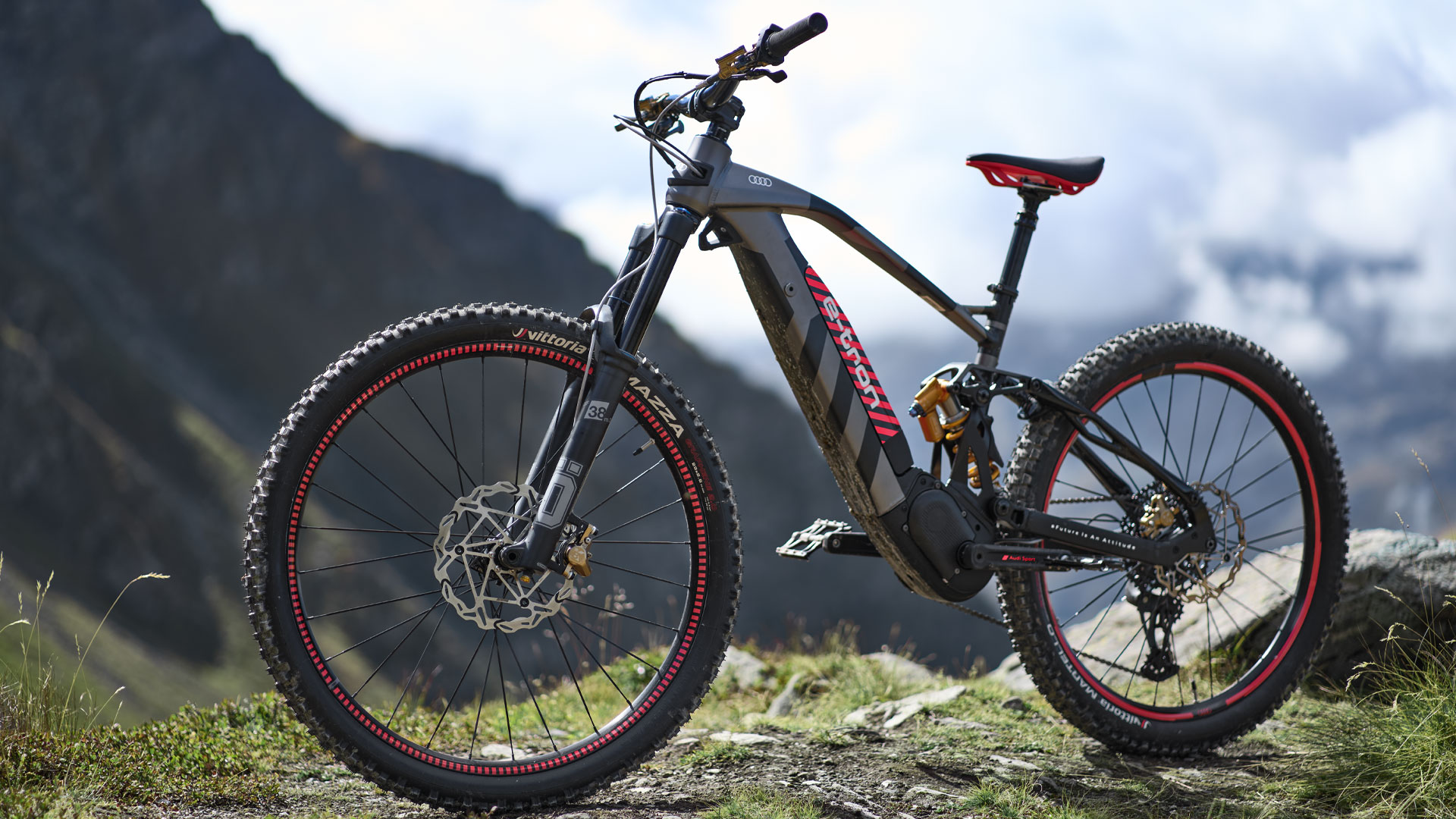 Side view of Audi electric mountain bike, with a mountainous landscape behind. 